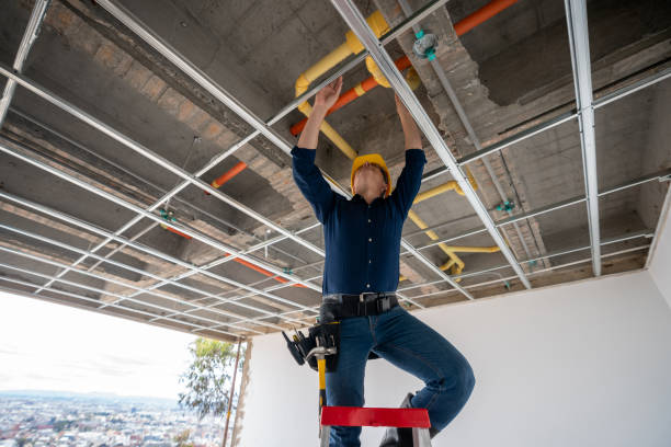 Best Emergency Plumber  in Big Lake, WA